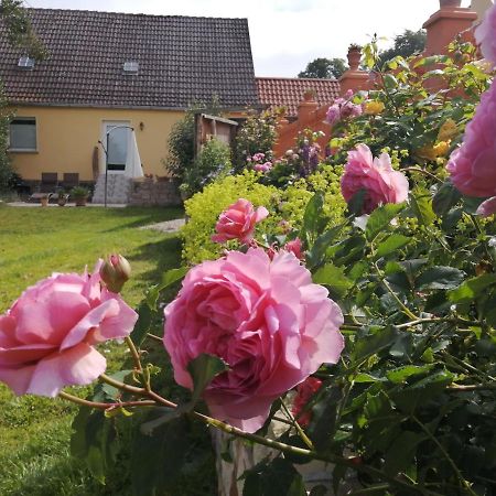 Strandhaus Mariflor Brook Zewnętrze zdjęcie
