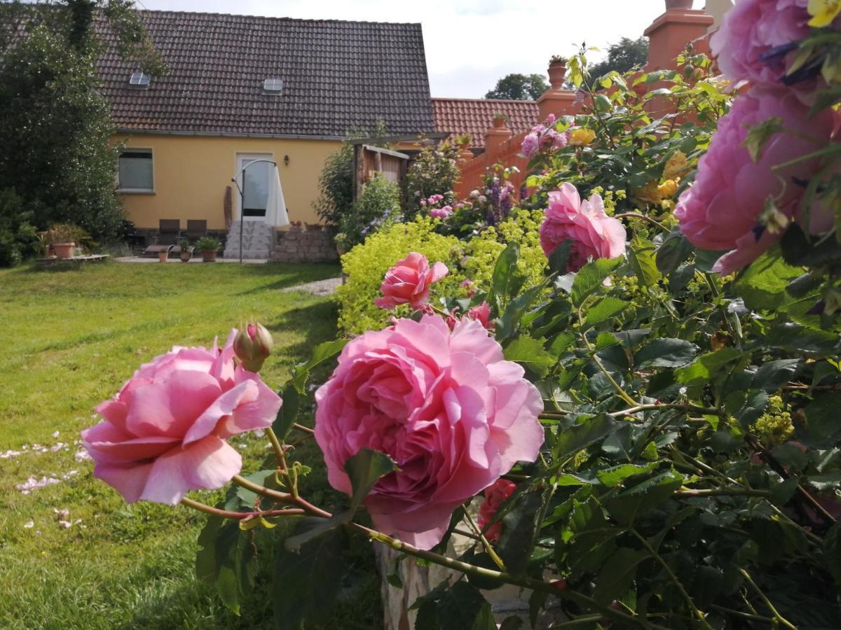 Strandhaus Mariflor Brook Zewnętrze zdjęcie